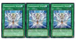 Yugioh- 3X Transcendent Wings - Common - 1st Edition - DP1-EN018 - Light Play - Image 1