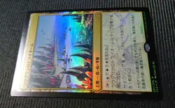 Raugrin Triome Foil Japan Error Card Centering Issue Used - Image 4