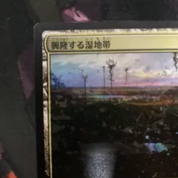 MTG Jump Start 2022 Error Card Double Printing Rising Wetlands Forbidden Forest - Image 2