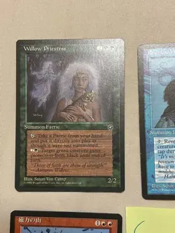 MTG Susan Van Camp Collection 10 Card Photos Japanese Artist Wolf Illustration U - Image 2