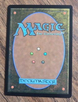 Mountain 0265 Borderless MTG Edge of Eternities Regular Land - Image 2