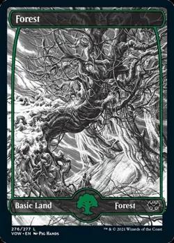 Forest (276) - Near Mint MTG Innistrad: Crimson Vow - Image 1
