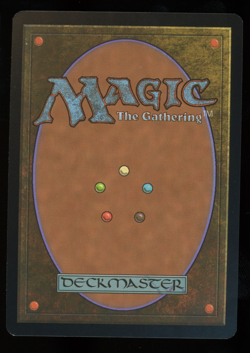 Flooded Strand - Foil - MTG Judge Promo - RareCo - Image 2