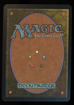 Elvish Champion (Scholarship Series) - Foil - MTG Junior Series Promo - RareCo - Image 2