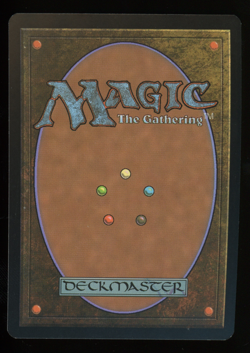 Dark Confidant - Foil - MTG Judge Promos - RareCo - Image 2