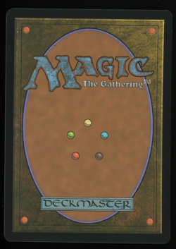 Sword of Feast and Famine - Borderless - MTG Double Masters - RareCo - Image 2