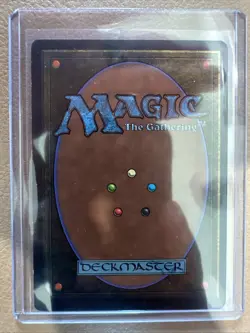 Rainbow Vale Fallen Empires MTG Land - NM/M - Never Played - Image 2