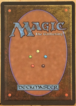 LIMITED EDITION Alliances Vintage MtG Kaysa Unplayed NM - Image 2