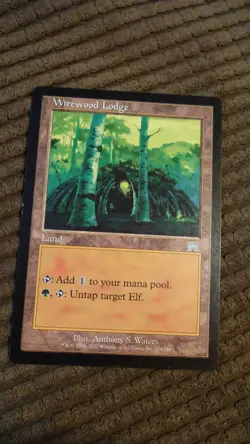 Magic: the Gathering / MtG Wirewood Lodge x1 Onslaught - Image 1