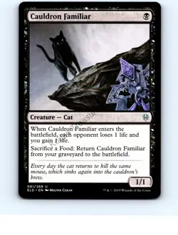 Cauldron Familiar #81 Uncommon Throne of Eldraine MTG NP Near Mint or Better - Image 1