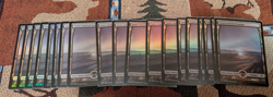 20 x Snow-Covered Swamp FOIL NM MTG Magic - Modern Horizons (MH1) - Image 2