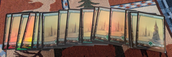 20 x Snow-Covered Forest FOIL NM MTG Magic - Modern Horizons (MH1) - Image 2