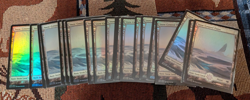 20 x Snow-Covered Plains FOIL NM MTG Magic - Modern Horizons (MH1) - Image 2