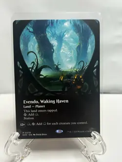 MTG Evendo, Waking Haven Showcase Borderless ** Edge of Eternities ** English - Image 1