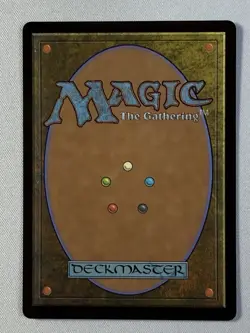 MTG Kitsa, Otterball Elite (Showcase) Bloomburrow Foil - Image 2