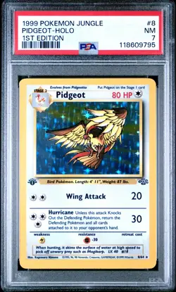 1999 Pokemon Jungle #8 Pidgeot Holo 1st Edition PSA 7 NM NEWLY GRADED - Image 1