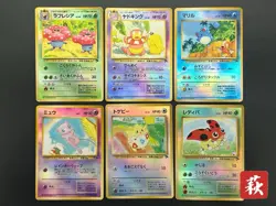 (MP) Holo Complete Southern Islands Collection File Card 6Set Rainbow Tropical - Image 1