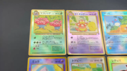 (MP) Holo Complete Southern Islands Collection File Card 6Set Rainbow Tropical - Image 2