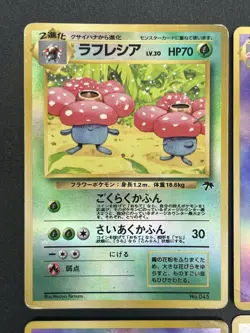 (MP) Holo Complete Southern Islands Collection File Card 6Set Rainbow Tropical - Image 4