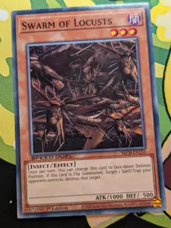 Swarm of Locusts - SBCB-EN153 - Common - Yugioh - Image 1