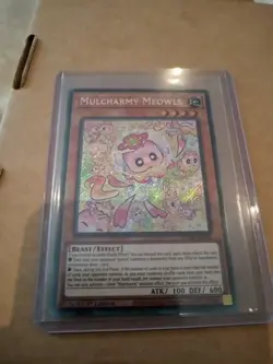 Mulcharmy Meowls - Secret Rare - 1st Edition - SUDA-EN025 - Yugioh - Image 1