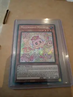 Mulcharmy Meowls - Secret Rare - 1st Edition - SUDA-EN025 - Yugioh - Image 2