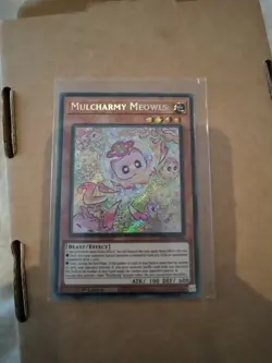 Mulcharmy Meowls - Secret Rare - 1st Edition - SUDA-EN025 - Yugioh - Image 4