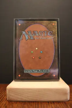 FOIL The List/Mystery Booster Archetype of Endurance NM/M MTG Cards ManaFam - Image 2