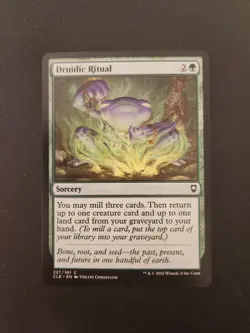 Druidic Ritual 227 Battle Baldur's Gate MTG Combine Ship 1-10 4.88 - Image 1