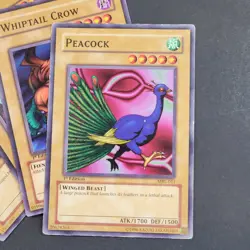 Yugioh - 1st Edition Magic Ruler Lot - 5 cards, Stone Ogre Grotto - MRL LP 2002 - Image 3