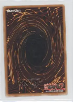 Quillbolt Hedgehog 1st Ed. YuGiOh Yusei Fudo Duelist Pack #DP08-EN005 2009 - Image 2