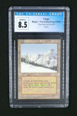 Mtg Taiga Ie Appraisal - Image 1