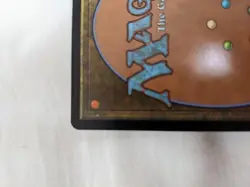 Mtg Karplusan Forest 7 Foil Japanese - Image 3