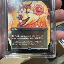 ARCANE SIGNET Secret Lair Non-Foil Rare CGC 9.5 MTG 🔥 Dogs Better Than Cats SLD - Image 2