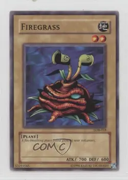 Firegrass YuGiOh Legend of Blue Eyes White Dragon #LOB-018 2002 - Image 1