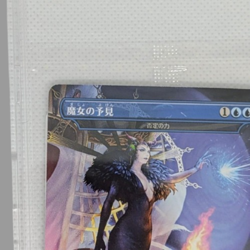 Witch's Prophecy Force of Nagation Non Foil MTG Final Fantasy 2000 Limited Promo - Image 2
