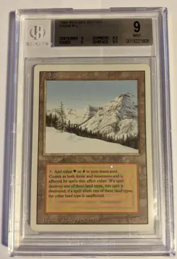 MTG English Magic Card DUAL LAND BGS 9 (almost 9.5) TAIGA REVISED Reserved List - Image 1