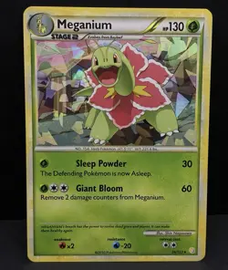 9x Pokemon Cards Meganium Bayleef Chikorita Card Lot - Holo Rare Vintage TCG - Image 3