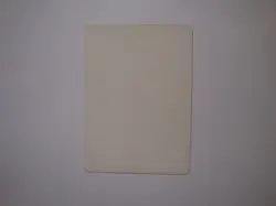 Eron the Relentless - ARTIST PROOF - Christopher Rush - UNSIGNED - MTG Homelands - Image 2