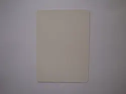 Tormod's Crypt - ARTIST PROOF - Christopher Rush - UNSIGNED - MTG Chronicles - Image 2