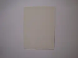 Worldly Counsel - ARTIST PROOF - Signed - MTG Magic the Gathering Invasion - Image 2