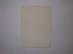 Swords to Plowshares - ARTIST PROOF - ITA. Revised - Unsigned - MTG - Image 2