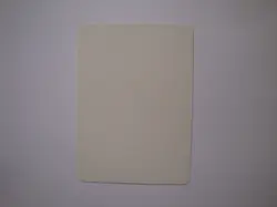 Primal Clay - ARTIST PROOF - Signed - MTG Magic the Gathering Antiquities - Image 2