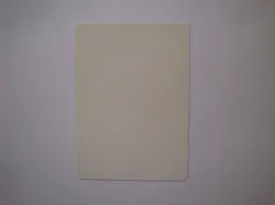 Sorceress Queen - ARTIST PROOF - Signed - MTG Magic the Gathering 4th Edition - Image 2