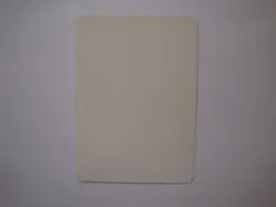 Rabid Wombat - ARTIST PROOF - Signed - MTG Magic the Gathering 4th Edition - Image 2