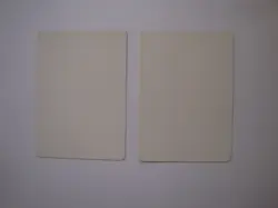 2x Quinton Hoover ARTIST PROOFs - UNSIGNED - MTG Magic the Gathering Ice Age - Image 2