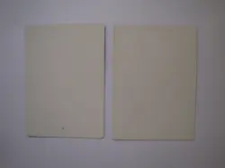 2x Mirage ARTIST PROOFs - Signed - Steve Luke - MTG Magic the Gathering - Image 2