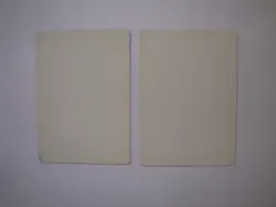 2x Phantasmal Fiend ARTIST PROOFs - Signed - MTG Magic the Gathering Alliances - Image 2