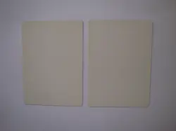 2x Deadly Insect ARTIST PROOFs - Signed - MTG Magic the Gathering Alliances - Image 2