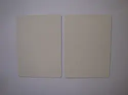 2x Fallen Empires ARTIST PROOFs - Signed - Jeff A. Menges - MTG - Image 2